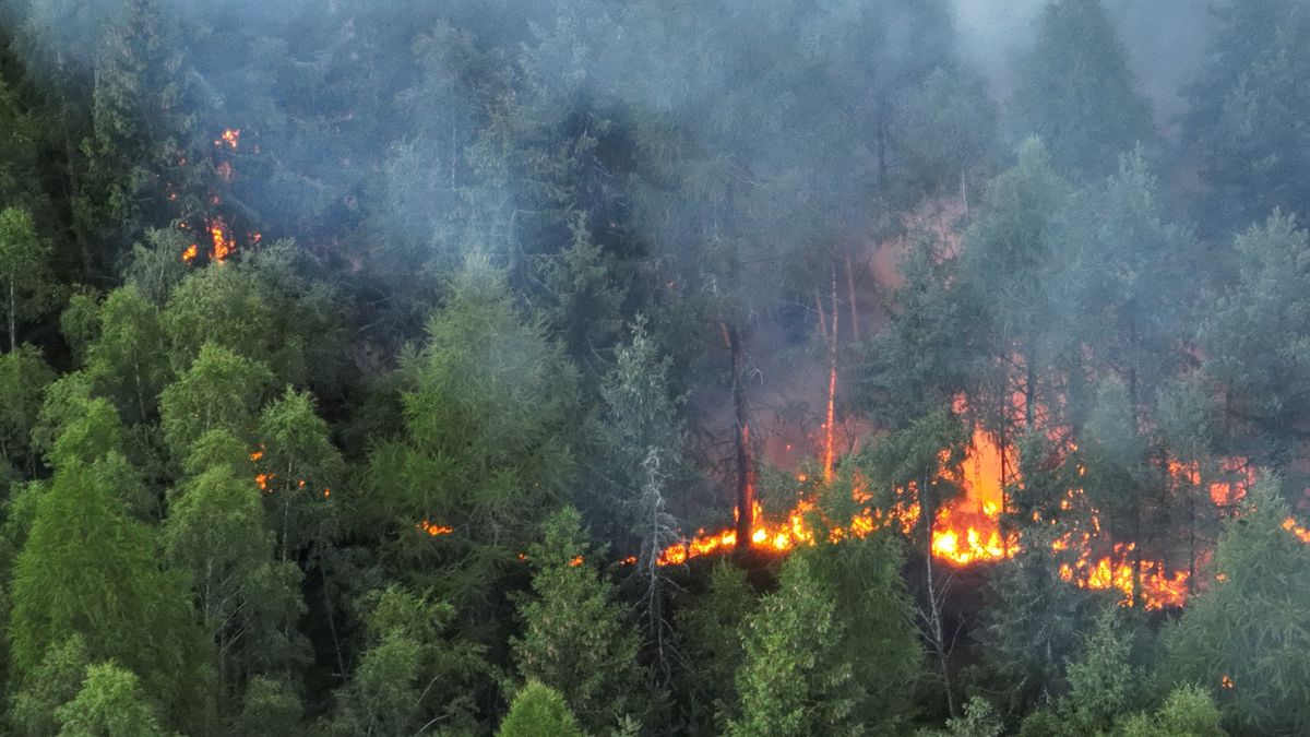U Útviny na Karlovarsku hoří les. Zasahuje i vrtulník